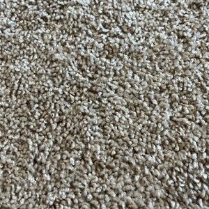 Meet your Posher, Bill